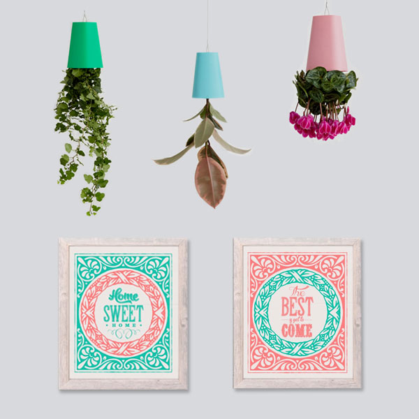 Decoracion