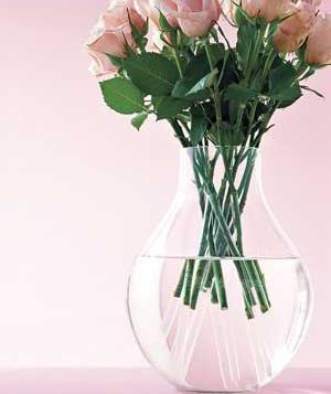 rose-vase_300