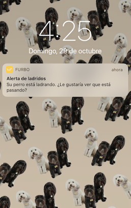furbo perros