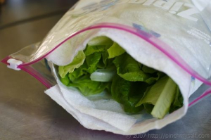tips para mantener frescos tus alimentos