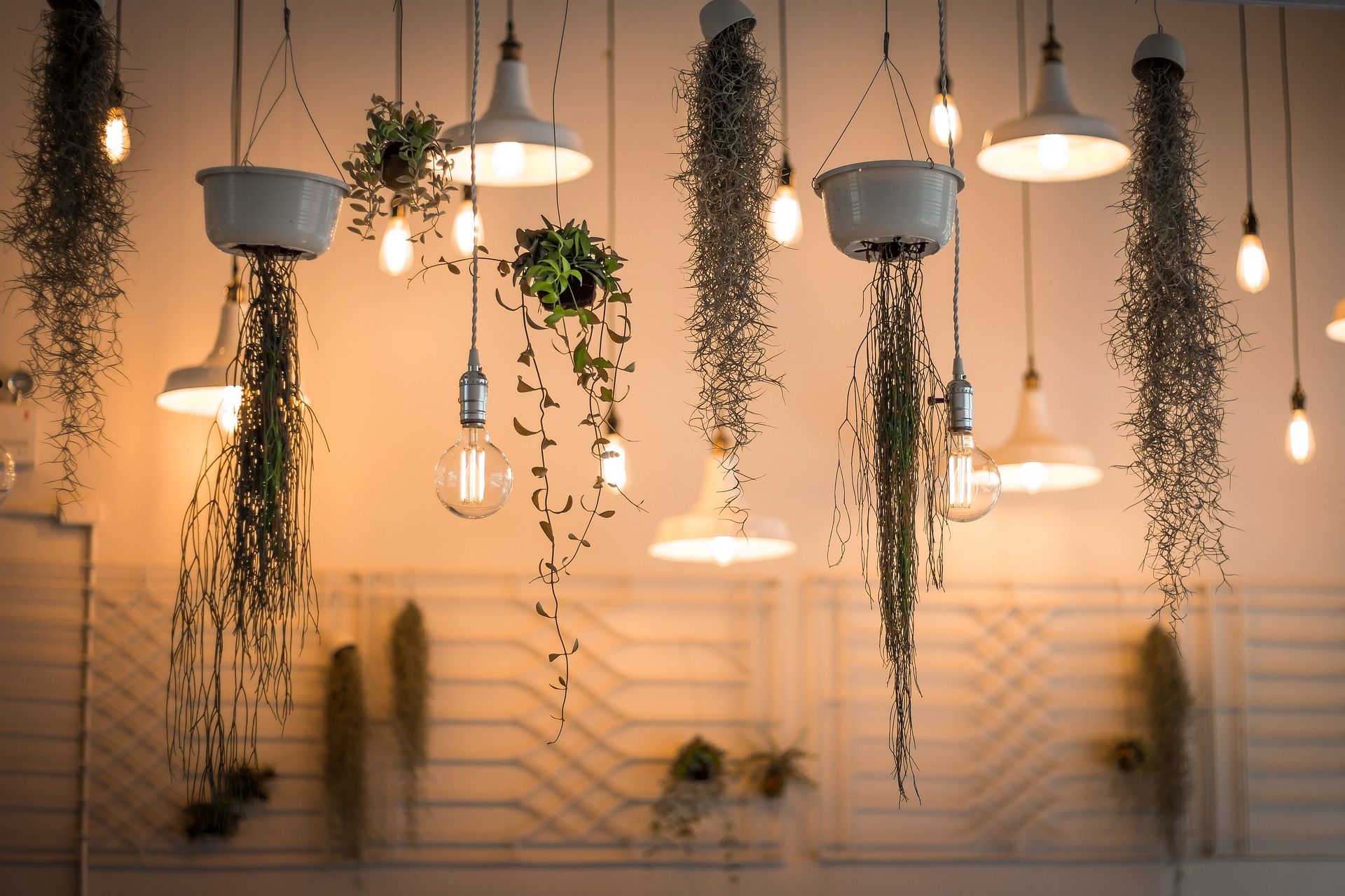 depa-de-soltera-plantas