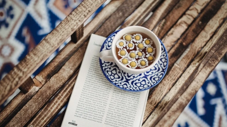 beneficios del té, tisana e infuciones Depa de soltera